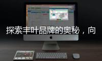 探索丰叶品牌的奥秘
，向专业致敬