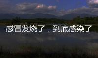 感冒发烧了，到底感染了啥？