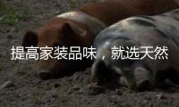 提高家装品味，就选天然居艺术漆