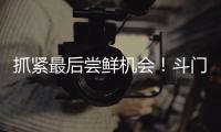 抓紧最后尝鲜机会！斗门御金球荔枝销售接近尾声
