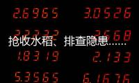 抢收水稻	、排查隐患……台风登陆后 浙江各地抢险救灾进行时