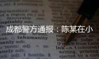 成都警方通报：陈某在小区持刀刺伤赵某
，已被刑拘