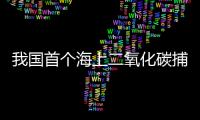 我国首个海上二氧化碳捕集
	、利用、封存项目投用