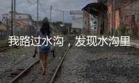 我路过水沟，发现水沟里有两个年轻女子，水沟旁边站着一个小伙子