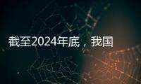 快排公司十年历程，霸屏兔 seo 的崛起与坚守