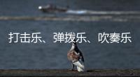 打击乐	、弹拨乐�	、吹奏乐
、拉弦乐，中国各类民族乐器入门难度如何