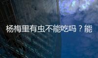 杨梅里有虫不能吃吗	？能吃！
