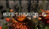 杨洋五个月无戏可拍，粉丝急盼回归娱乐圈	！