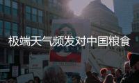 极端天气频发对中国粮食生产有何影响�
？