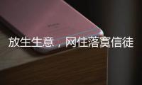 放生生意，网住落寞信徒丨记者手记