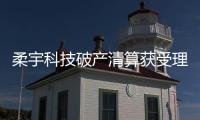 柔宇科技破产清算获受理
，职工薪资或优先清偿