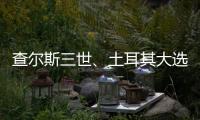 查尔斯三世、土耳其大选
、审视大脑丨刊中人