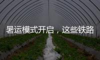 暑运模式开启
，这些铁路福利千万别错过