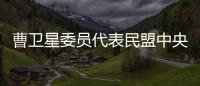 曹卫星委员代表民盟中央发言：优化国土空间格局提升土地资源保护利用水平