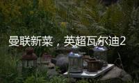 曼联新菜

，英超瓦尔迪2.0，19岁踢第6级别联赛
，29岁值6000万镑