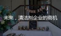 快排公司十年历程，霸屏兔 seo 的崛起与坚守