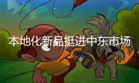本地化新品挺进中东市场！中联重科R系列旋挖钻机交付阿联酋