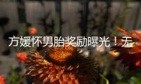 方媛怀男胎奖励曝光�！无限额信用卡	、亿元豪礼，父母保姆轮流伺候