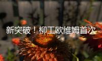 新突破�！柳工欧维姆首次牵头修订国际标准ISO14655