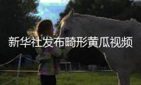 新华社发布畸形黄瓜视频爆火，戳破了当下教育最大的真相
