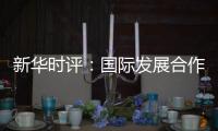 新华时评：国际发展合作彰显中国责任担当