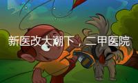 新医改大潮下，二甲医院如何夹缝求生？