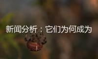 新闻分析	：它们为何成为2020年度全国十大考古新发现？