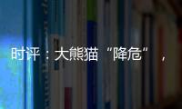 时评：大熊猫“降危”，但生态保护不能降级