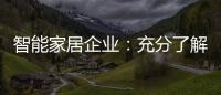 智能家居企业
：充分了解消费需求 占领市场