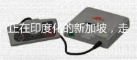 正在印度化的新加坡，走上了一条不归路	！