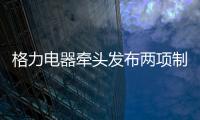 格力电器牵头发布两项制冷压缩机国际标准 董明珠：消费者的需要才是真正的标准