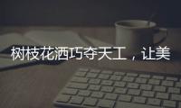 树枝花洒巧夺天工，让美在世界流淌