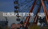 比克深入夏季攻势
，仙桃市场开门红