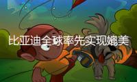 比亚迪全球率先实现媲美L4级智能泊车	，承诺中国市场全面兜底