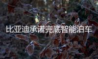 比亚迪承诺兜底智能泊车
！媲美L4级体验�，出了问题官方赔付