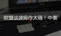 欧盟这波操作太骚！中美刚要联手绞杀
，它竟想左右逢源？