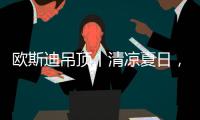 欧斯迪吊顶丨清凉夏日，年“粽”大礼惊喜来袭