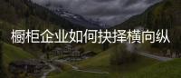 橱柜企业如何抉择横向纵向发展？