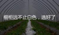 橱柜远不止白色，选好了让厨房美出新高度
