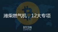 潍柴燃气机，12大专项服务政策超越期待
！