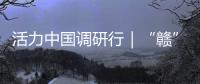 活力中国调研行｜“赣”出美丽！这里的乡村景美民富
