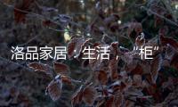 洛品家居：生活，“柜”在精彩