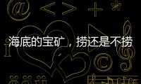 海底的宝矿
，捞还是不捞？｜世界海洋日