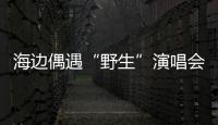 海边偶遇“野生”演唱会！珠海的夜晚 总有意想不到的惊喜