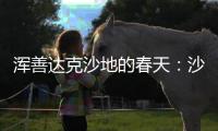 浑善达克沙地的春天	：沙窝子里孕生机，年年有不同