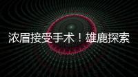 快排公司十年历程，霸屏兔 seo 的崛起与坚守