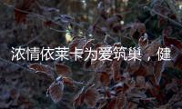 浓情依莱卡为爱筑巢，健康全铝家居感恩天下母亲!