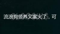 流浪狗领养文案火了，可心动，别冲动