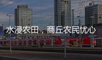 水浸农田，商丘农民忧心秋收秋种