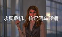 永奥危机，传统汽车经销商之困